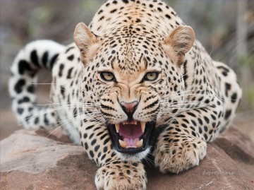 Leopard Painting - leopard 26